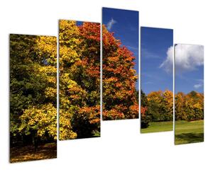 Podzimní stromy - obraz do bytu (125x90cm)