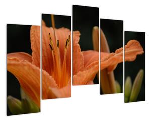 Obraz květiny (125x90cm)
