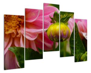 Obraz květu rostliny (125x90cm)