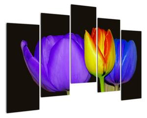 Obraz tulipánů (125x90cm)