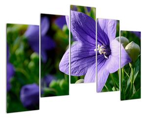 Květiny - obraz (125x90cm)