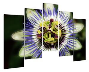 Obrazy květin (125x90cm)