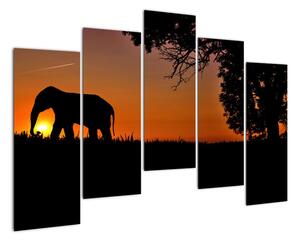 Obraz slona v přírodě (125x90cm)