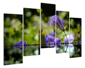 Modrá květina - obraz (125x90cm)