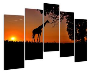 Obraz žirafy v přírodě (125x90cm)