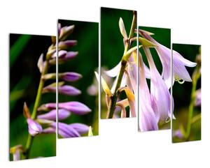 Květiny - obraz (125x90cm)
