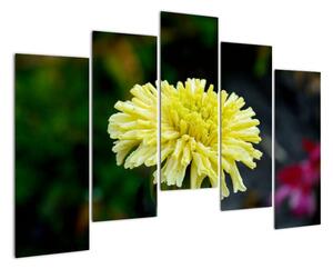 Obrazy květiny (125x90cm)
