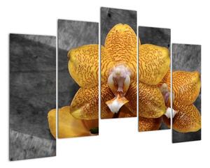 Orchidej - obraz (125x90cm)