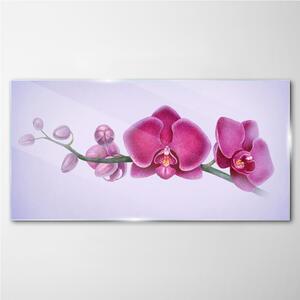 Obraz na skle Obraz na skle Akvarel květina větev orchidej