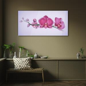 Obraz na skle Obraz na skle Akvarel květina větev orchidej