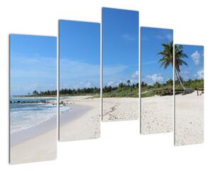 Exotická pláž - obraz (125x90cm)