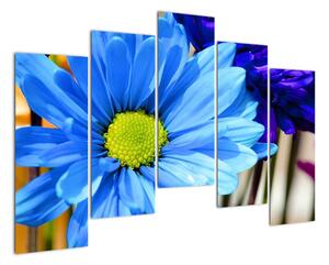 Modrá chryzantéma - obrazy (125x90cm)