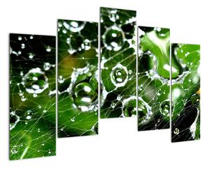 Kapky vody - obrazy (125x90cm)