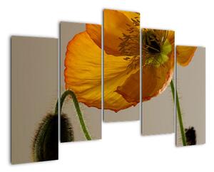 Žlutá květina - obraz (125x90cm)