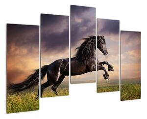Kůň - obraz (125x90cm)