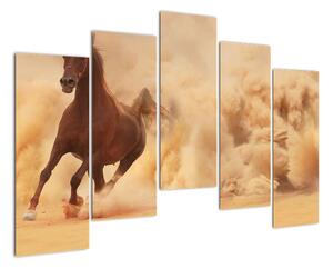 Cválající kůň - obraz (125x90cm)