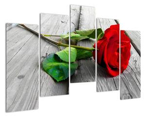 Růže červená - obraz (125x90cm)