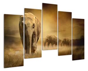 Obraz slona (125x90cm)