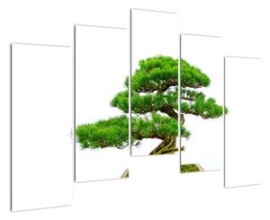 Bonsai - moderní obraz (125x90cm)