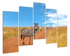 Zebra na cestě - obraz (125x90cm)