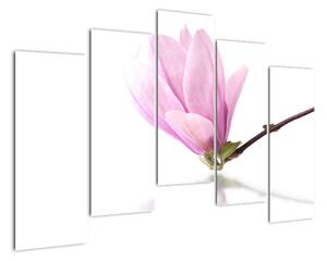 Květ - obraz (125x90cm)