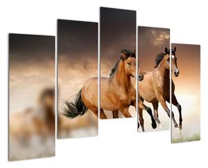 Koně - obraz (125x90cm)