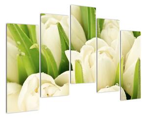 Detail tulipánů - obraz (125x90cm)