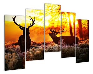 Fotka jelenů - obraz (125x90cm)