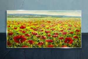 Obraz na skle Obraz na skle Malování květiny louka maki