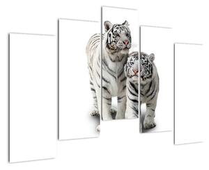 Tygr bílý - obraz (125x90cm)