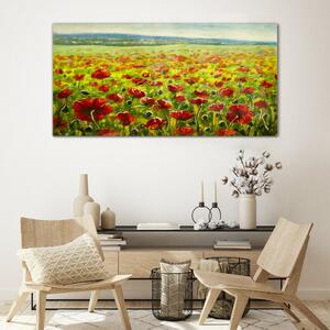 Obraz na skle Obraz na skle Malování květiny louka maki