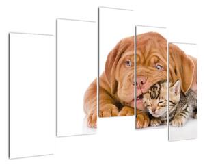 Štěně a kotě - obraz (125x90cm)