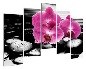 Obraz orchidejí (125x90cm)