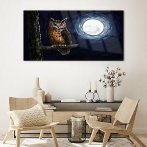 Obraz na skle Obraz na skle strom větev sova noční měsíc