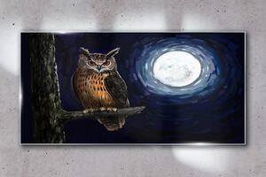 Obraz na skle Obraz na skle strom větev sova noční měsíc