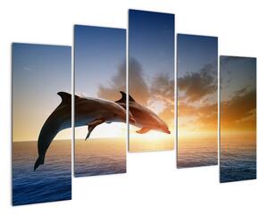 Delfíni - obraz (125x90cm)