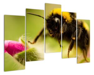 Včela - obraz (125x90cm)