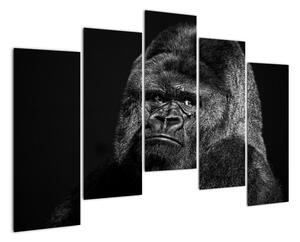 Obraz opice (125x90cm)