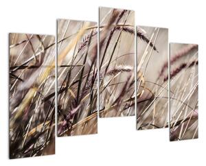 Obraz pšenice (125x90cm)