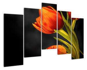 Obraz tulipánů (125x90cm)