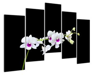 Květina - obraz (125x90cm)