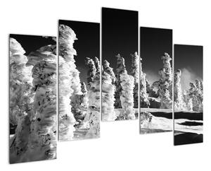 Obraz - zimní hory (125x90cm)