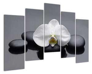Květ orchideje - moderní obraz (125x90cm)