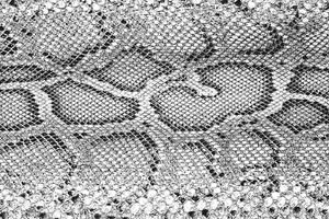 DIMEX | Vliesová fototapeta Textura krokodýlí kůže MS-5-2585 | 375 x 250 cm | bílá, černá