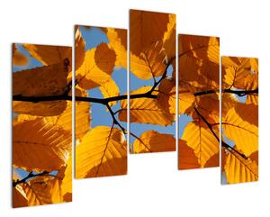 Podzimní listí - obraz (125x90cm)