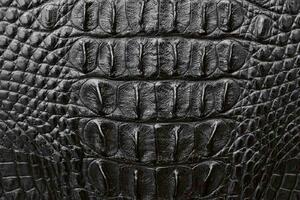 DIMEX | Vliesová fototapeta Tmavá krokodýlí kůže MS-5-2583 | 375 x 250 cm | černá, šedá
