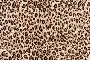 DIMEX | Vliesová fototapeta Leopardí kůže MS-5-2579 | 375 x 250 cm | béžová, černá, hnědá
