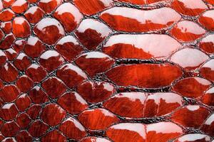 DIMEX | Vliesová fototapeta Červená hadí kůže MS-5-2587 | 375 x 250 cm | červená