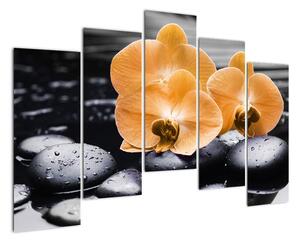 Květ orchideje - obraz na stěnu (125x90cm)