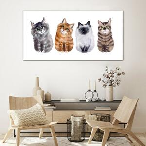 Obraz na skle Obraz na skle Malování zvířat kočky